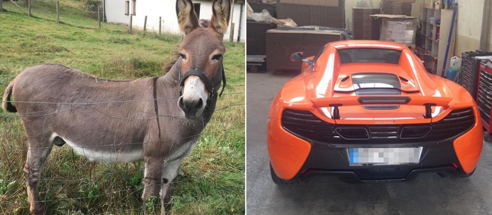 Esel Vitus und der karottenfarbene McLaren-Sportwagen.