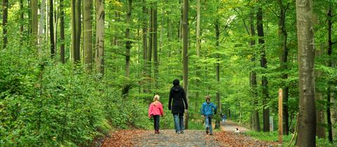 Spaziergänger im Nationalpark Kellerwald-Edersee