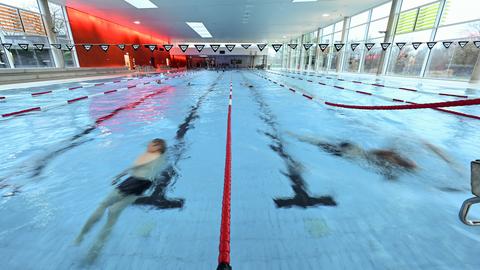 Mehrere Schwimmer ziehen in einem Becken ihre Bahnen