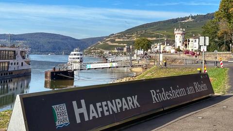 Foto: Ein Blick auf den Rhein samt angelegten Schiffen. Im Bildvordergrund ein Schild auf dem Boden mit der Aufschrift  "Hafenpark - Rüdesheim am Rhein".