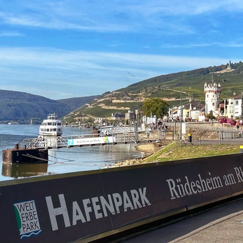 Foto: Ein Blick auf den Rhein samt angelegten Schiffen. Im Bildvordergrund ein Schild auf dem Boden mit der Aufschrift  "Hafenpark - Rüdesheim am Rhein".