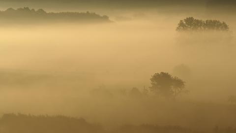 Bäume hinter dichtem Nebel am Dreienberg bei Friedewald