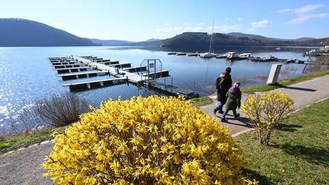 Eine gelbe Forsythie blüht an der Promenade am Ufer des Edersees, zwei Menschen spazieren dort an einem leeren Bootsanleger vorbei.