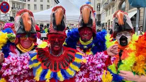 Vier Männer sind in Wiesbaden als Papageien verkleidet.