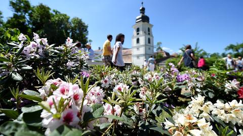 Fürstliches Gartenfest Schloss Fasanerie