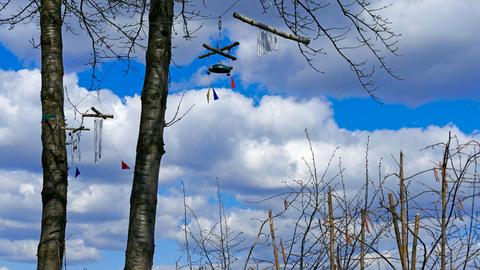 Kleine aus Holz und Metall gebaute Instrumente hängen im Baum - durch den Wind erzeugen sie Klänge.