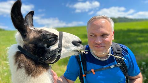 Lama-Wanderung in der Rhön 