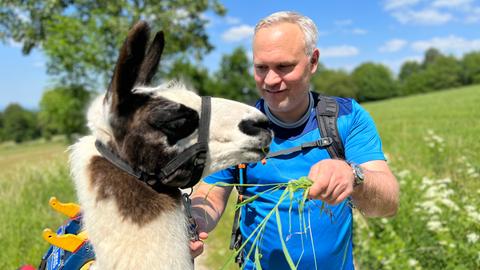 Lama-Wanderungen in der Rhön