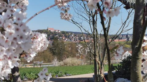 Landesgartenschau Fulda 