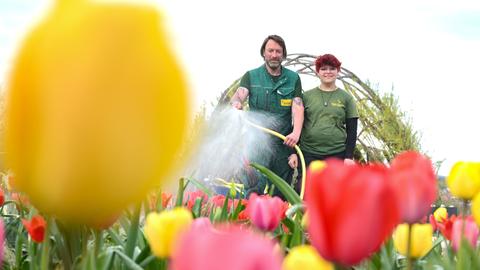 Landesgartenschau Fulda Eröffnung