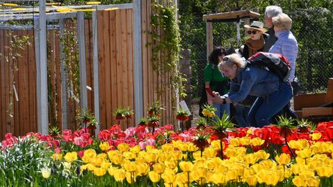 Landesgartenschau Fulda