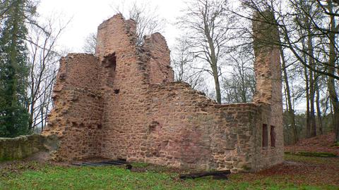 Eine Ruine im Wald, Blätter liegen auf dem Boden