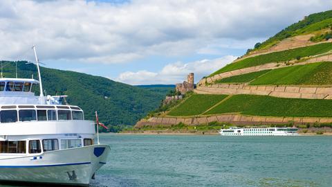 Ein Ausflugsschiff fährt über den Rhein.