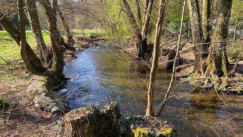 Der Schwarzbach im Taunus. Die Bäume sind noch kahl, doch das Grün sprießt auf Wiesen und in Büschen.