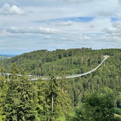 Skywalk Willingen