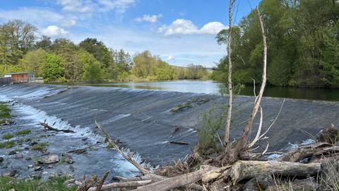 Das Wehr nahe Fritzlar: Wasser fließt über eine große Stufe, im Vordergrund ist Totholz zu sehen.
