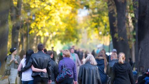 Menschen laufen durch eine herbstliche Allee.