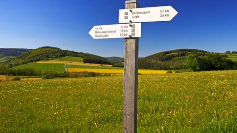 Wegweiser geben beim Wandern die Richtung vor