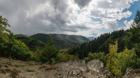 Blick über Bäume und in ein Tal. 