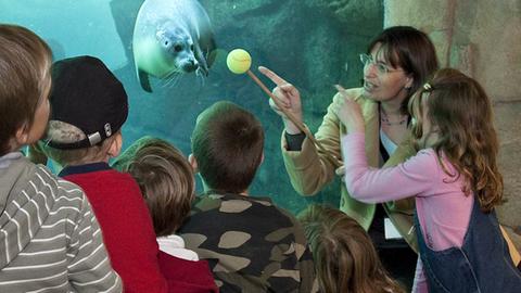 Durch Spiele und Experimente sollen Kinder mehr über die Natur lernen 