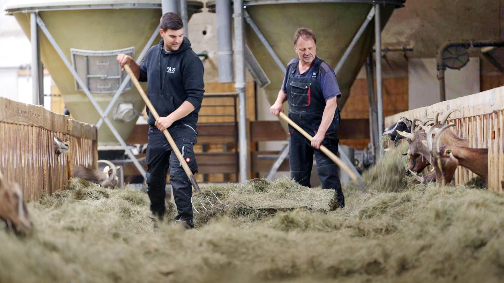 R-ckgang-von-Bioh-fen-Wenn-der-Sohn-bernimmt-und-der-Hof-bleibt