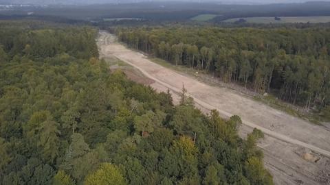 Schneise im Dannenröder Forst bei Homberg (Ohm)