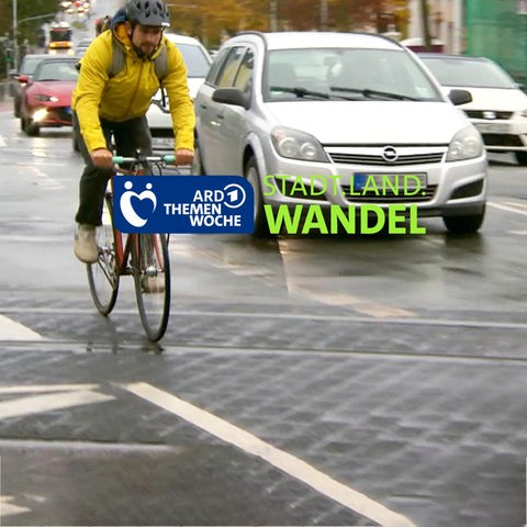 Foto von einer stark befahrenen Straße mit vielen Autos und einem Radfahrer.