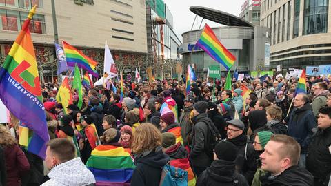 Teilnehmer der "Demo der Vielfalt und Liebe" in der Frankfurter Innenstadt.