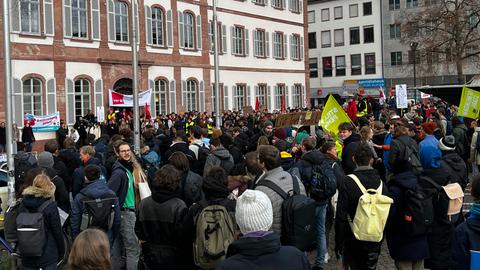 Demonstranten auf dem Luisenplatz in Darmstadt
