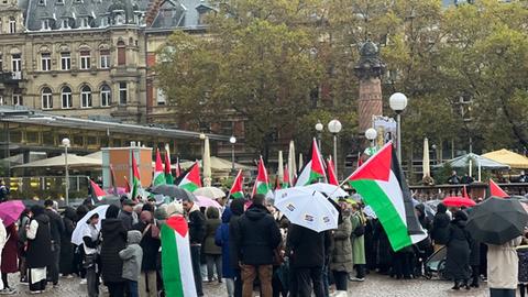 Pro-palästinensische Demo in Wiesbaden