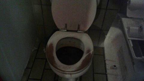 Bild einer Toilette mit brauner Toilettenbrille
