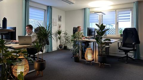 Drei Büroarbeitsplätze - an zwei Tischen sitzen junge Männer vor Bildschirmen - auf dem Boden Pflanztöpfe und Lampen 