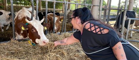Bewohnerin vom Hof Fleckenbühl füttert eine Kuh, die im Außenstall steht, mit Stroh