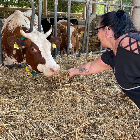 Bewohnerin vom Hof Fleckenbühl füttert eine Kuh, die im Außenstall steht, mit Stroh