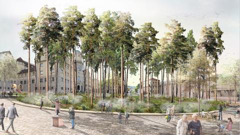 Architektenentwurf: Kiefern stehen wie ein Wald auf dem Grimm Platz