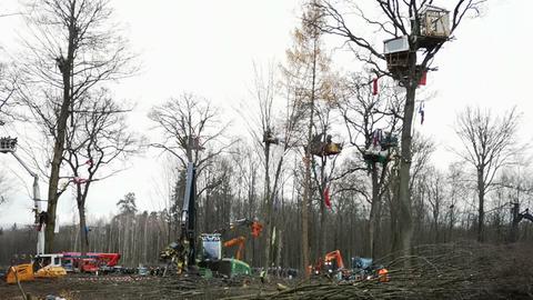 letzte Baumhäuser im Dannenröder Forst