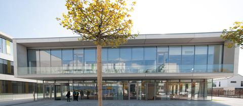 Instituts- und Hörsaalgebäude des Fachbereichs Chemie der Justus-Liebig-Universität Gießen, vor dem Bau mit großer Glasfassade steht ein Baum