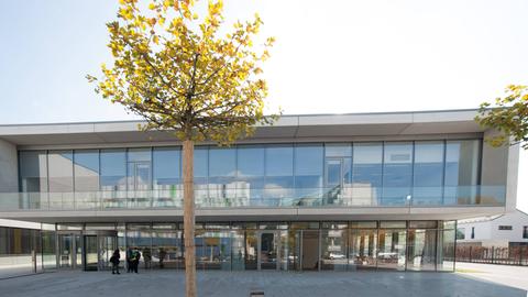 Instituts- und Hörsaalgebäude des Fachbereichs Chemie der Justus-Liebig-Universität Gießen, vor dem Bau mit großer Glasfassade steht ein Baum