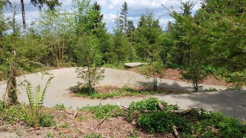 Mountainbike Strecke im Wald bei Korbach