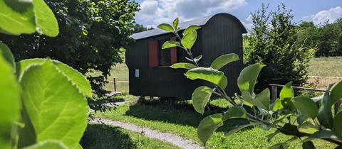 Schäferwagen hinter Zweigen auf Bio-Bauernhof