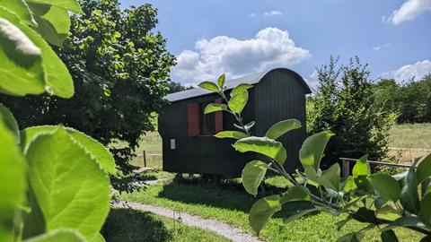 Schäferwagen hinter Zweigen auf Bio-Bauernhof