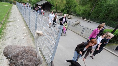 Philosophenweg Opel-Zoo