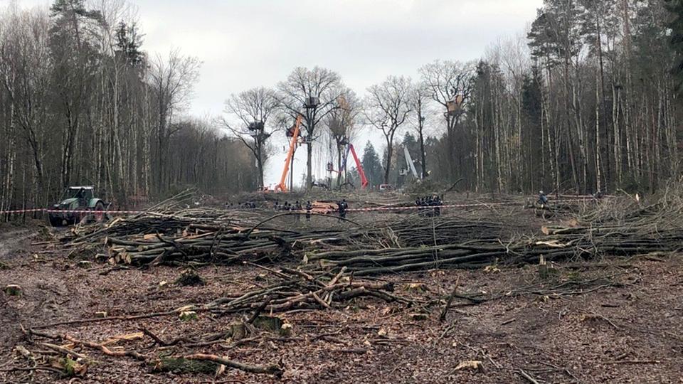 Rodungen im Dannenröder Forst beendet: Trasse für A49-Weiterbau