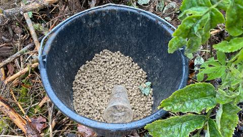Ein Eimer mit braunen Kügelchen
