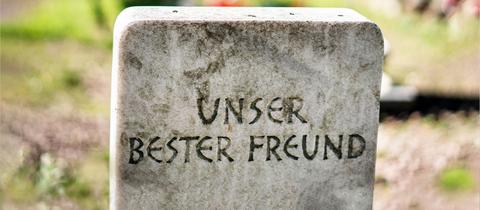 Ein Grabstein auf dem steht: "Unser bester Freund".