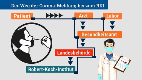 Der Weg einer Corona-Meldung bis zum RKI