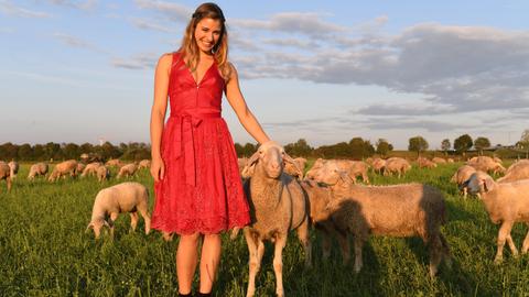 Das Wiesn-Playmate 2019, Stella Stegmann, steht in der Abendsonne auf einer Wiese zwischen Schafen.