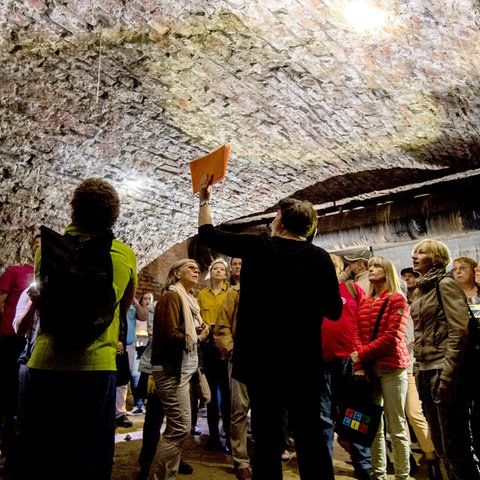 Menschen stehen in einem dunklen historischen Gewölbe und schauen mit Taschenlampen die Decke an