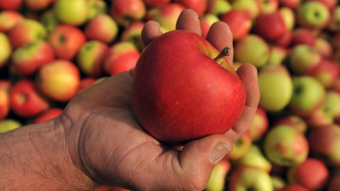 Eine Hand mit einem Apfel