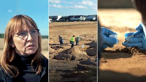 Collage: Archäologin, Blick auf die Ausgrabungsstätte, Hände in blauen Handschuhen graben im Boden